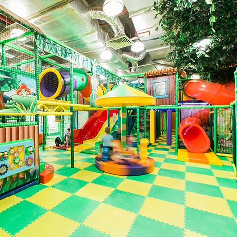 Jungle Gym